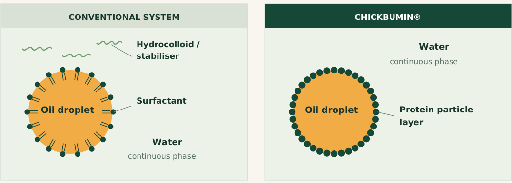 Conventional system: surfactants form a molecular film around an oil droplet, with hydrocolloid or stabiliser in the water continuous phase. ChickBumin: a protein particle layer coats the oil droplet in the water continuous phase.